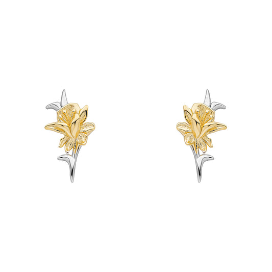 Laura Ashley Heritage Daffodil Stud Earrings E6608