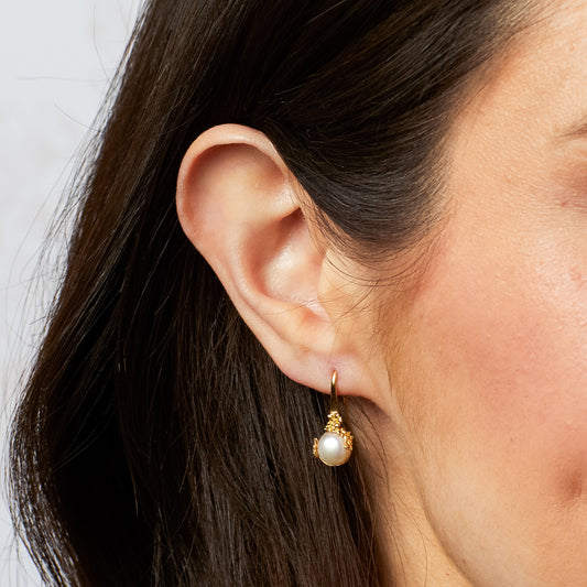 Laura Ashley Gold Plated Ickleford Tulips Freshwater Pearl Earrings E6614W