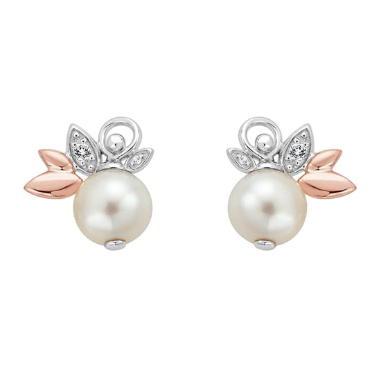 CLOGAU LILY OF THE VALLEY STUD