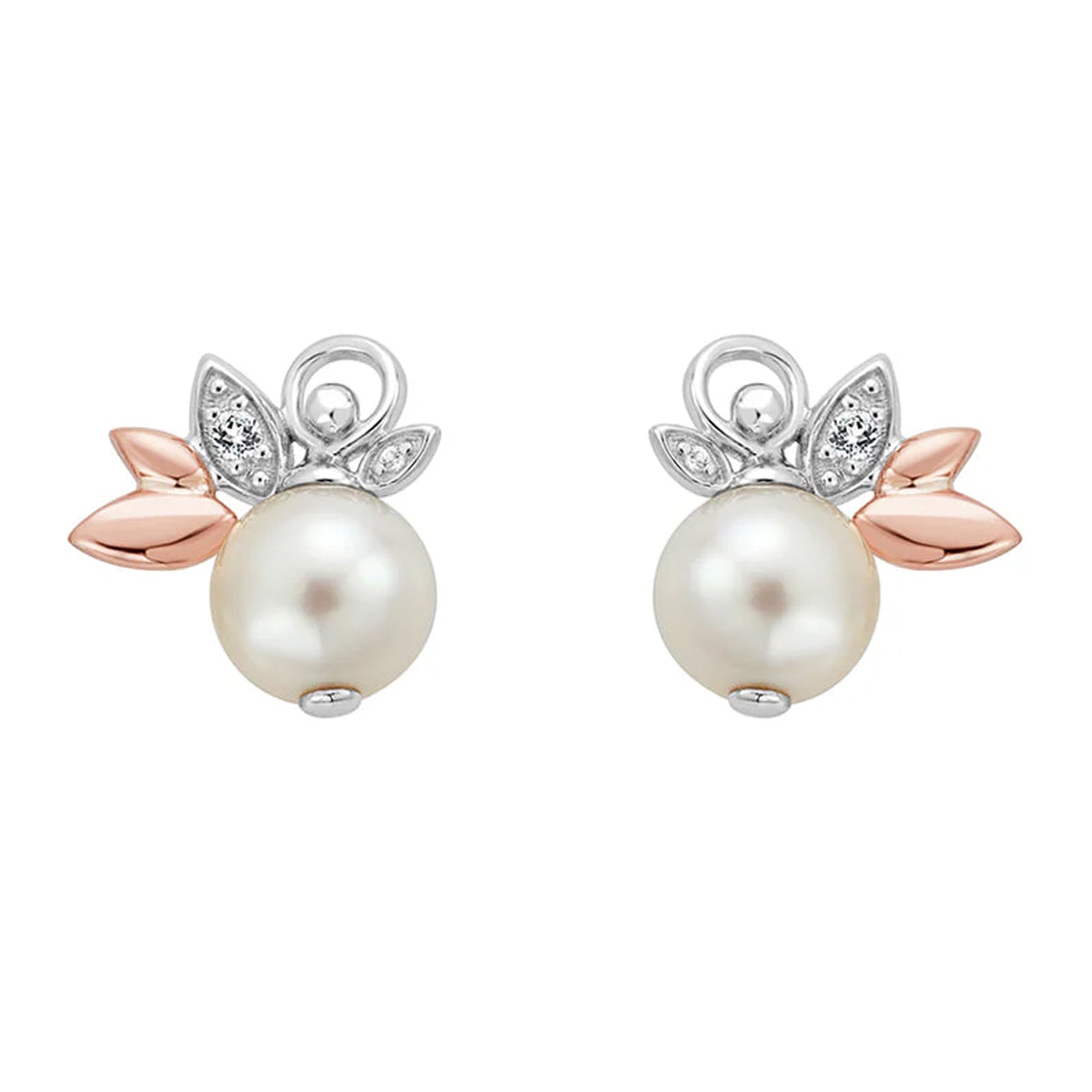 CLOGAU LILY OF THE VALLEY STUD