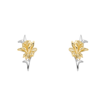 Laura Ashley Heritage Daffodil Stud Earrings E6608