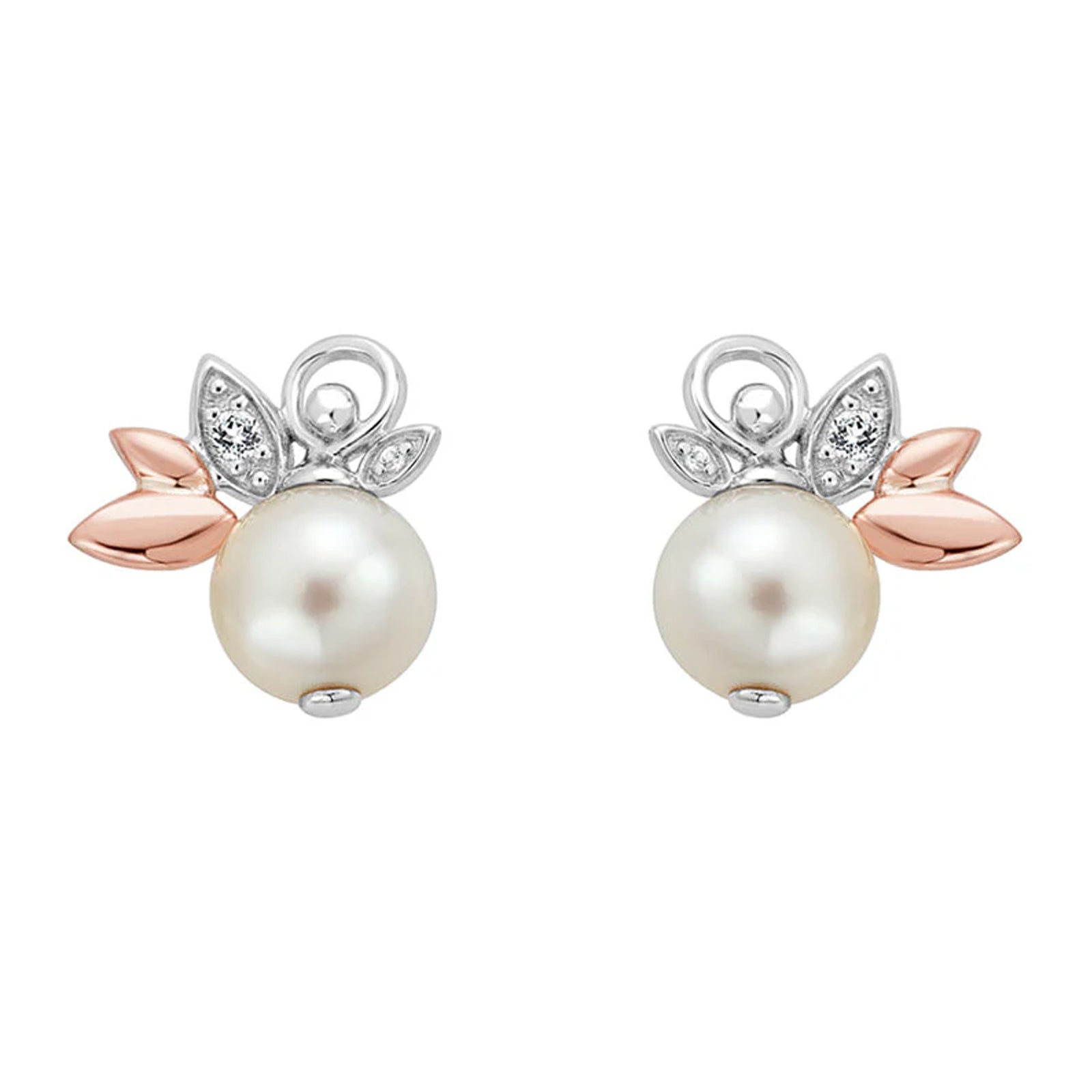 CLOGAU LILY OF THE VALLEY STUD