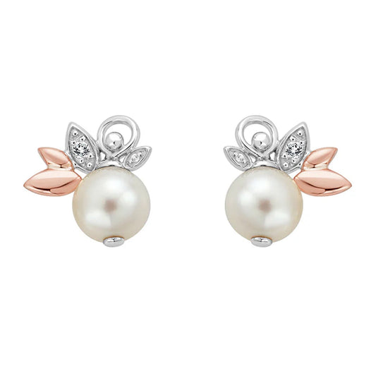 CLOGAU LILY OF THE VALLEY STUD