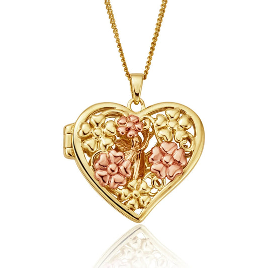 CLOGAU 9YR FAIRY OPEN HEART LOCKET & CHAIN